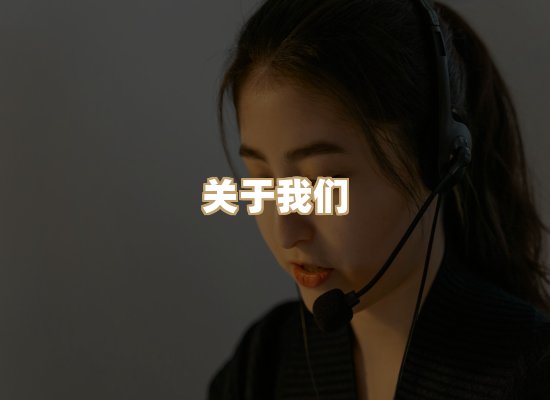 关于至岚排版网